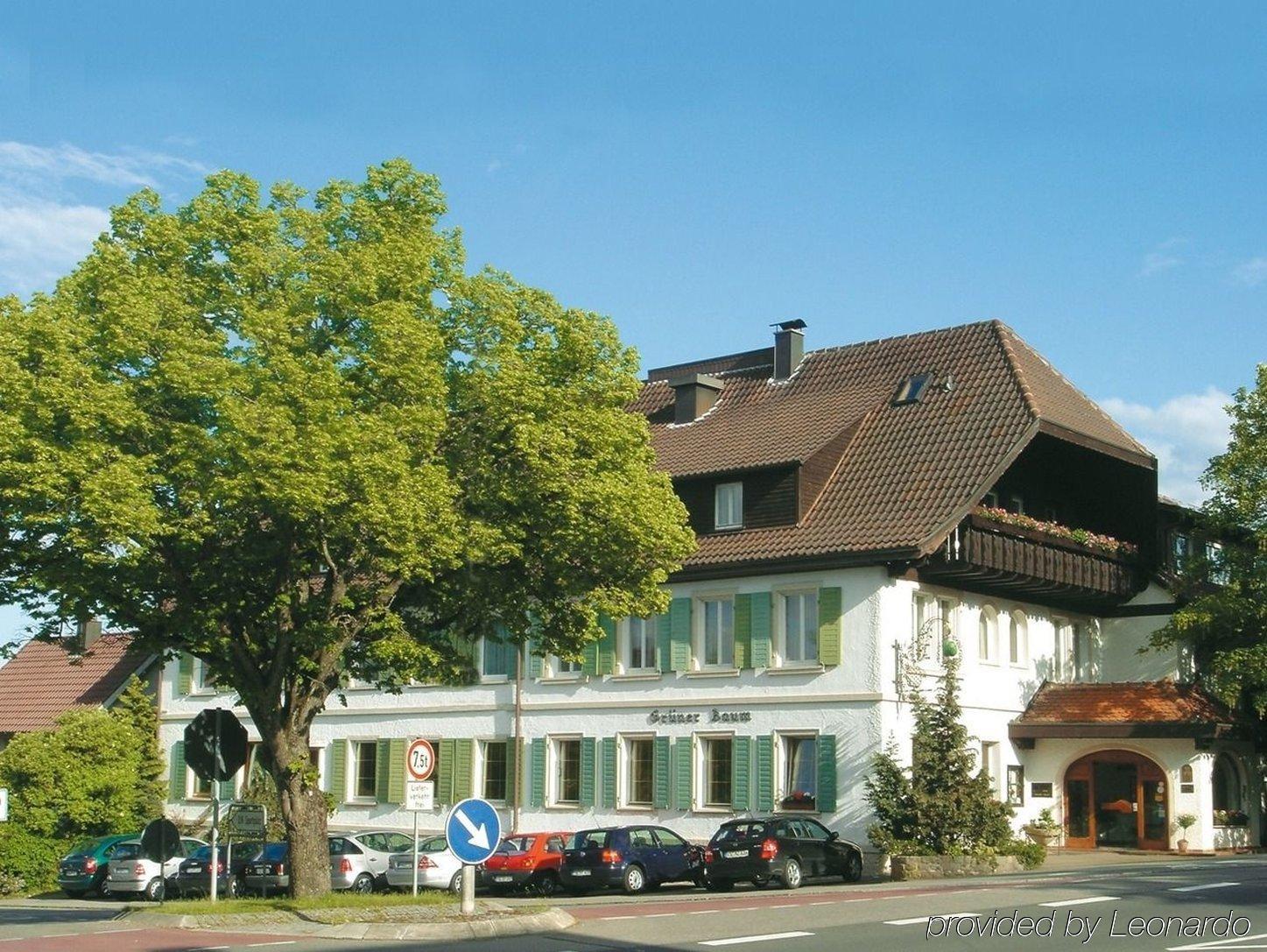 Flair Hotel Gruener Baum Донаушинген Екстериор снимка
