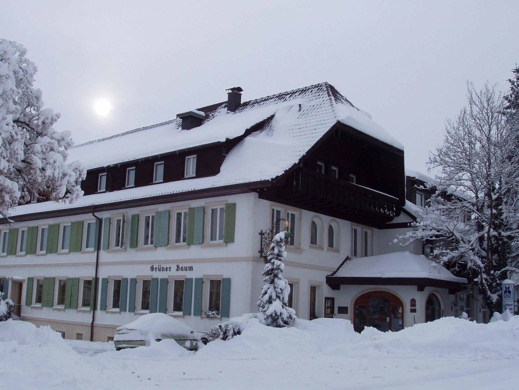 Flair Hotel Gruener Baum Донаушинген Екстериор снимка
